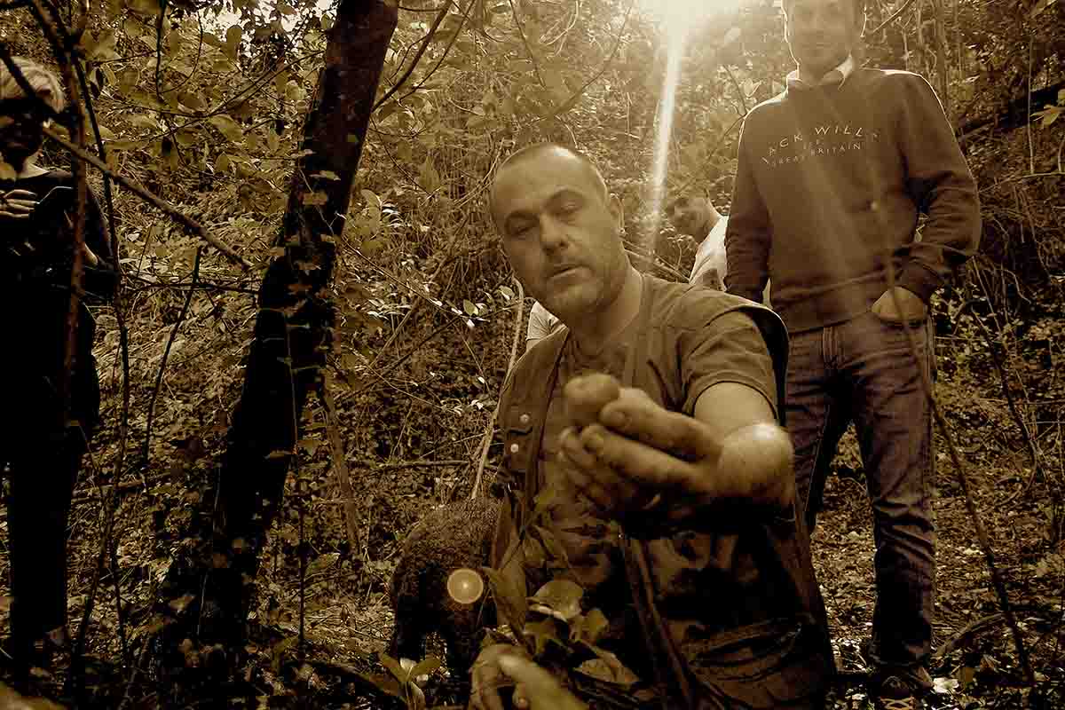 Truffle hunters in the Tuscan woods