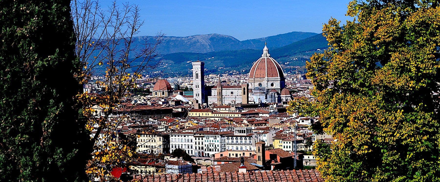 Panoramic view of Florence with the Duomo and Giotto's bell tower, framed by trees