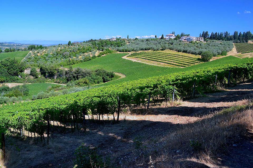 4 days tuscan Wine Tours