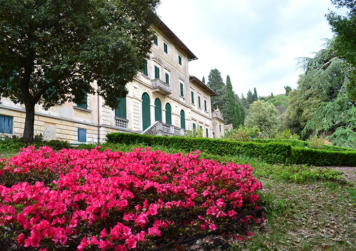 Typical winery villa in the Rufina wine area