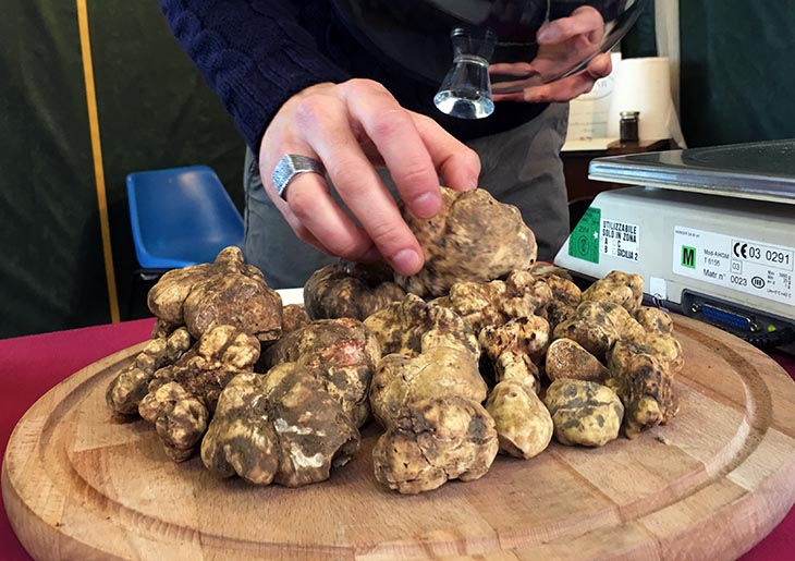 White truffle at San Miniato