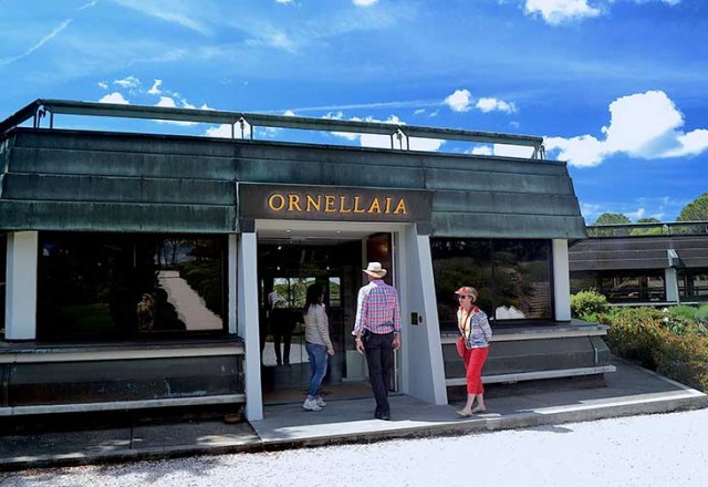 Bolgheri wine tour