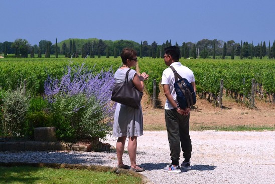 Campo alla Sughera winery in Bolgheri