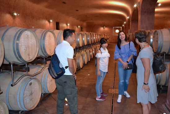 Cellar at Campo alla Sughera Bolgheri