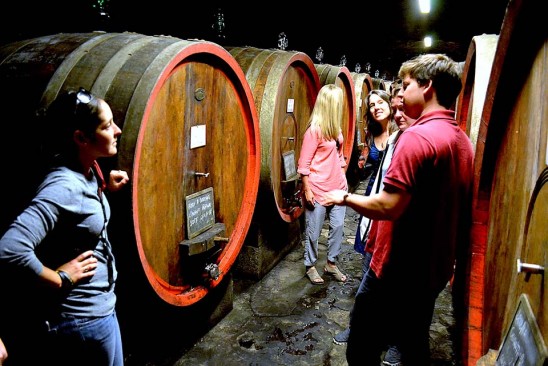 Tenuta Travignoli  a winery in Chianti Rufina