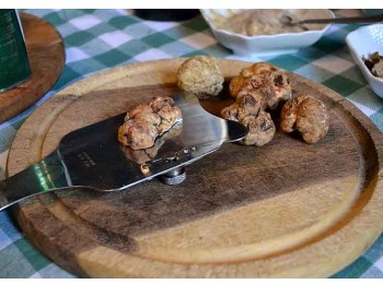 Truffle Cooking Class - shared Truffle  Experience