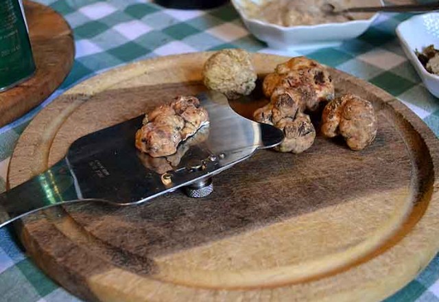 Truffle Cooking Class in Tuscany