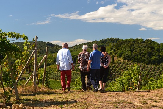 White Wine Tuscany Tour