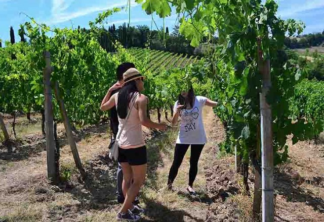 Girls enjoying a walk in the vineyards during a wine tour in San Gimignano